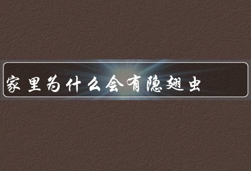 家里为什么会有隐翅虫