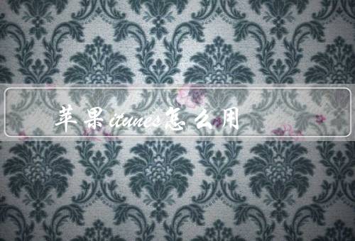 苹果itunes怎么用