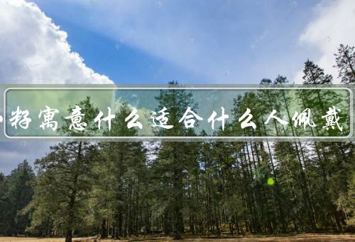 十八籽寓意什么适合什么人佩戴