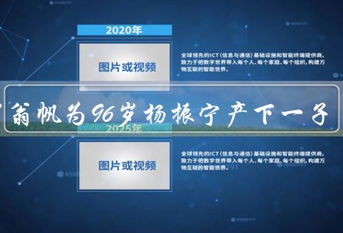 42岁翁帆为96岁杨振宁产下一子