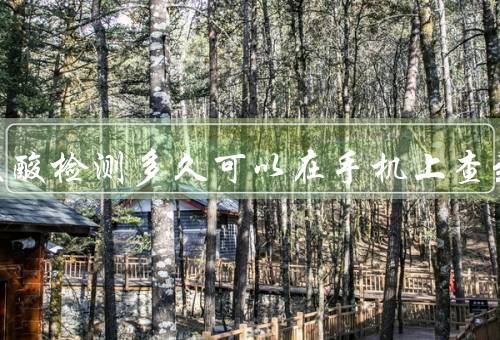 做完核酸检测多久可以在手机上查到