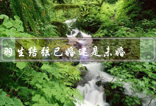 羽生结弦已婚还是未婚