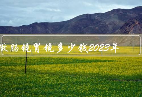 做肠镜胃镜多少钱2023年