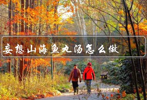 妄想山海鱼丸汤怎么做
