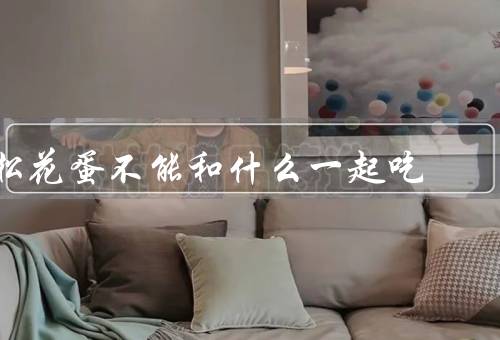 松花蛋不能和什么一起吃