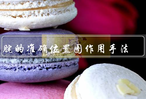 中脘的准确位置图作用手法