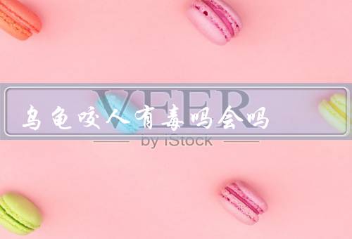 乌龟咬人有毒吗会吗