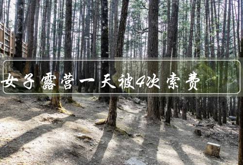 女子露营一天被4次索费