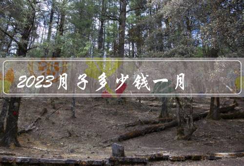 2023月子多少钱一月
