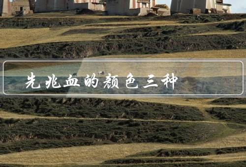 先兆血的颜色三种