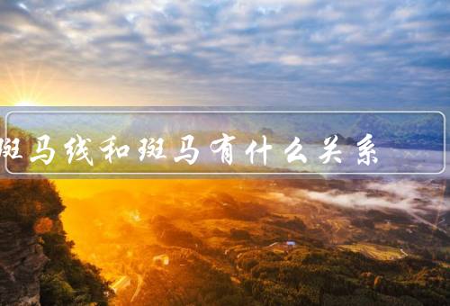 斑马线和斑马有什么关系