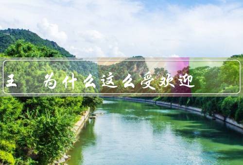 王濛为什么这么受欢迎