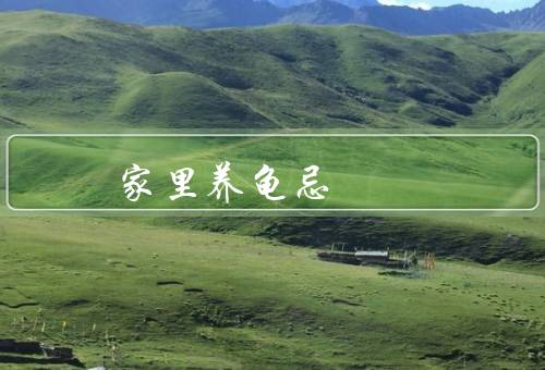 家里养龟忌