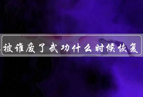 萧瑟被谁废了武功什么时候恢复，太监之首浊清（26集的时候恢复）