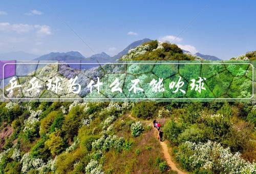 乒乓球为什么不能吹球