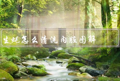 生蚝怎么清洗内脏图解