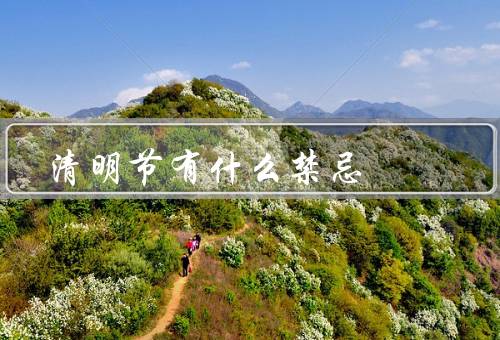 清明节有什么禁忌