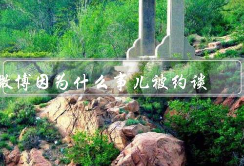 微博因为什么事儿被约谈