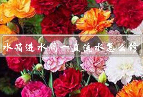 马桶水箱进水阀一直流水怎么修