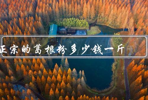 正宗的葛根粉多少钱一斤