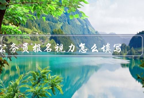 公务员报名视力怎么填写