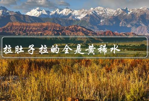拉肚子拉的全是黄稀水