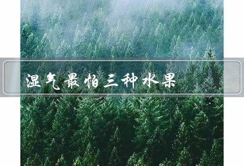 湿气最怕三种水果