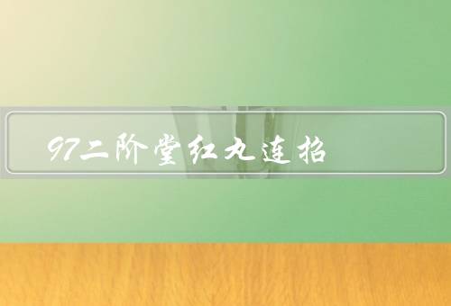 97二阶堂红丸连招