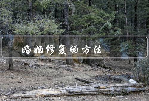 婚姻修复的方法