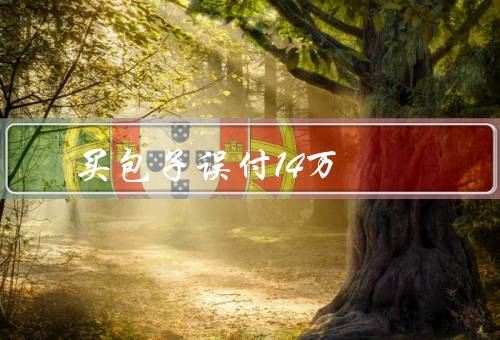 买包子误付14万