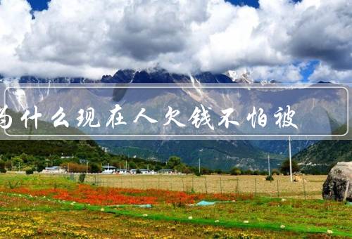 为什么现在人欠钱不怕被