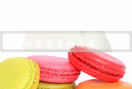 为什么鲨鱼怕海豚
