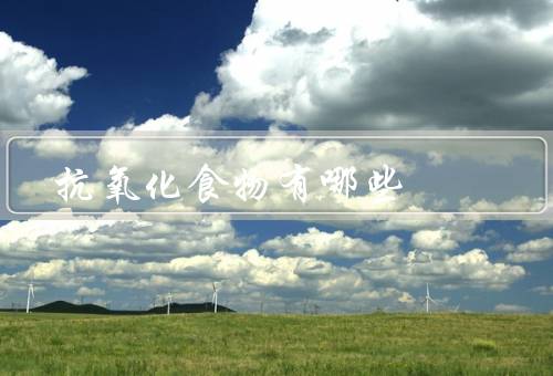 抗氧化食物有哪些