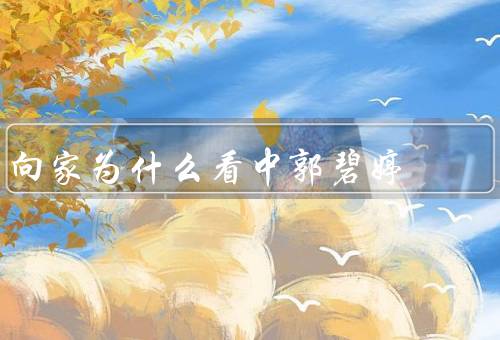 向家为什么看中郭碧婷