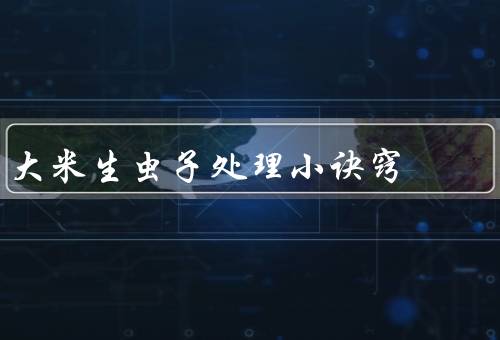 大米生虫子处理小诀窍