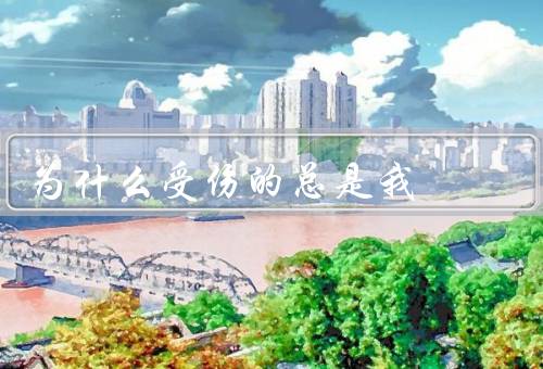 为什么受伤的总是我
