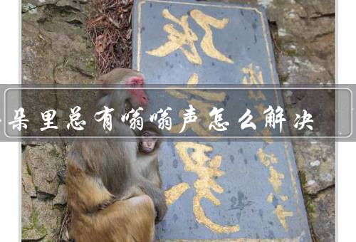 耳朵里总有嗡嗡声怎么解决