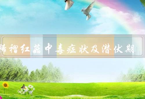 亚稀褶红菇中毒症状及潜伏期