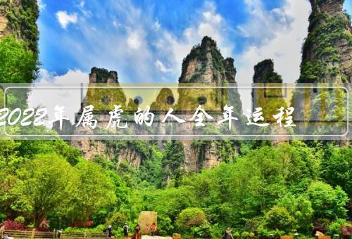 2022年属虎的人全年运程