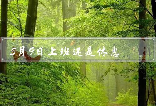 5月9日上班还是休息