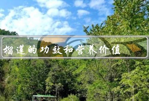 榴莲的功效和营养价值