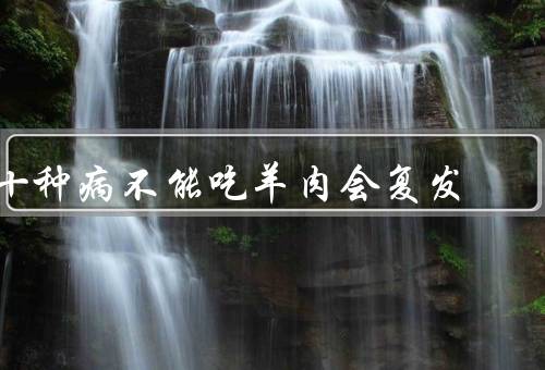 十种病不能吃羊肉会复发