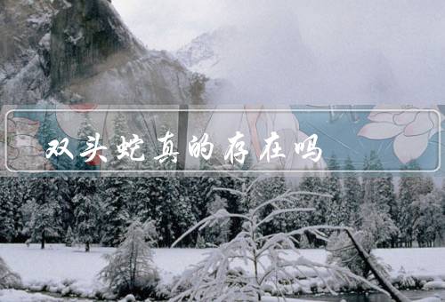 双头蛇真的存在吗