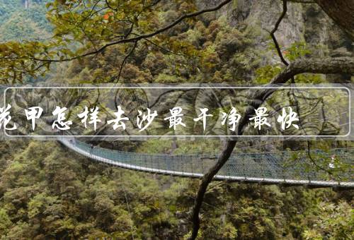 花甲怎样去沙最干净最快