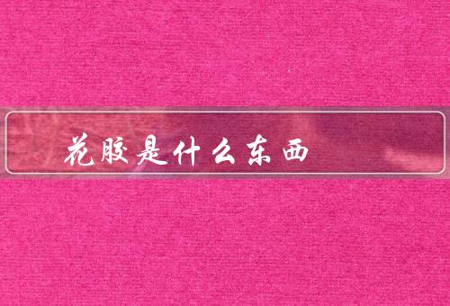花胶是什么东西