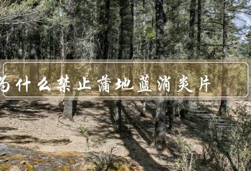 为什么禁止蒲地蓝消炎片