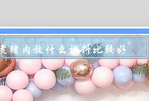 煮猪肉放什么调料比较好