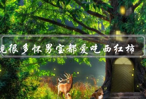 发现很多怀男宝都爱吃西红柿