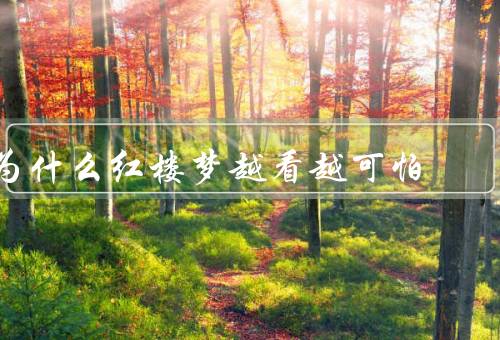 为什么红楼梦越看越可怕