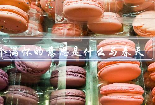 撞个满怀的意思是什么与春天